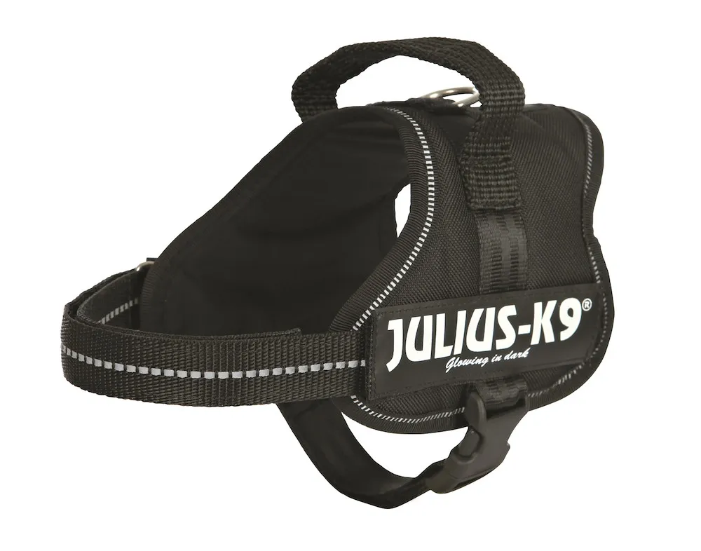 Julius-K9 Powergeschirr