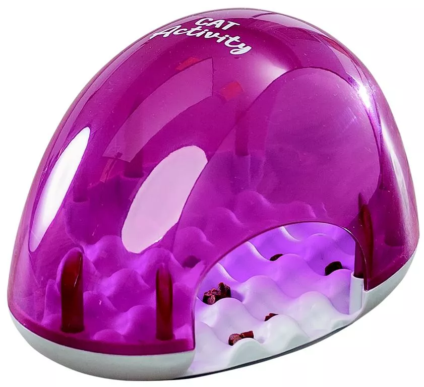 Cat Activity Snack Box