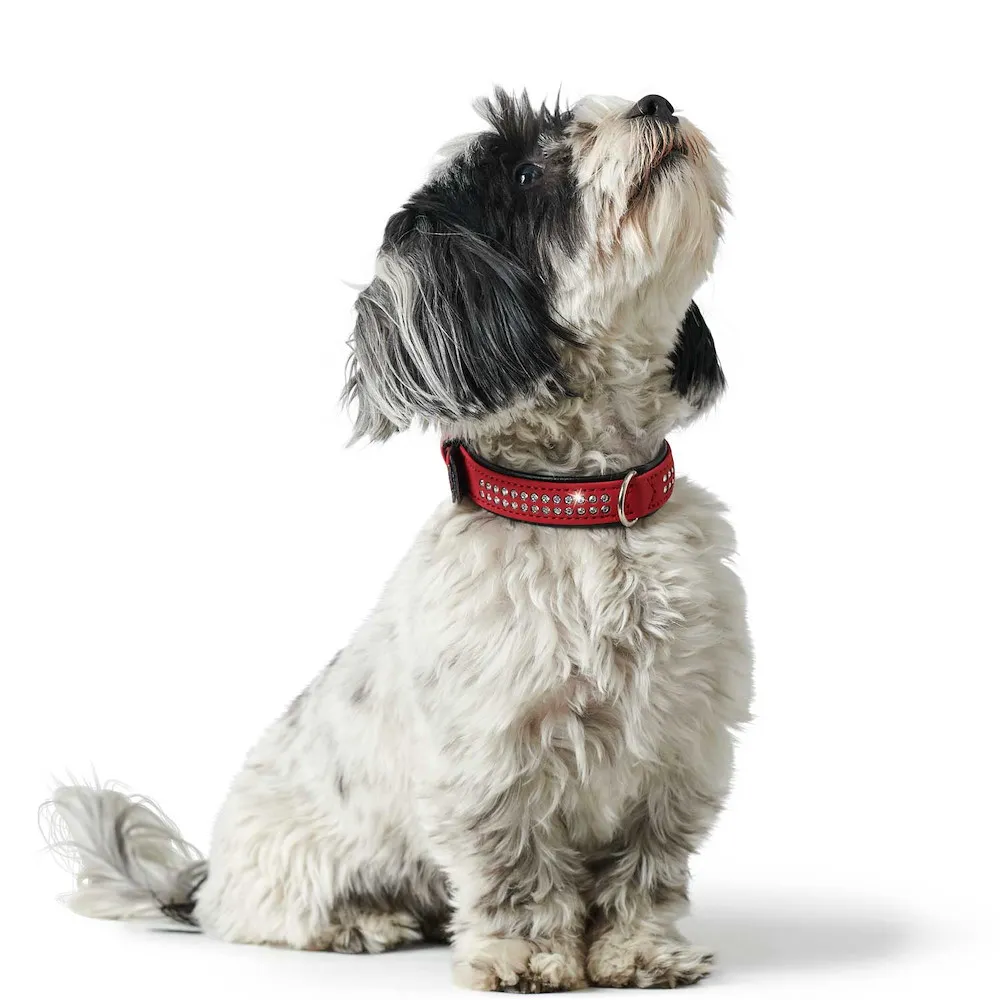 Halsband Softie Deluxe, 35