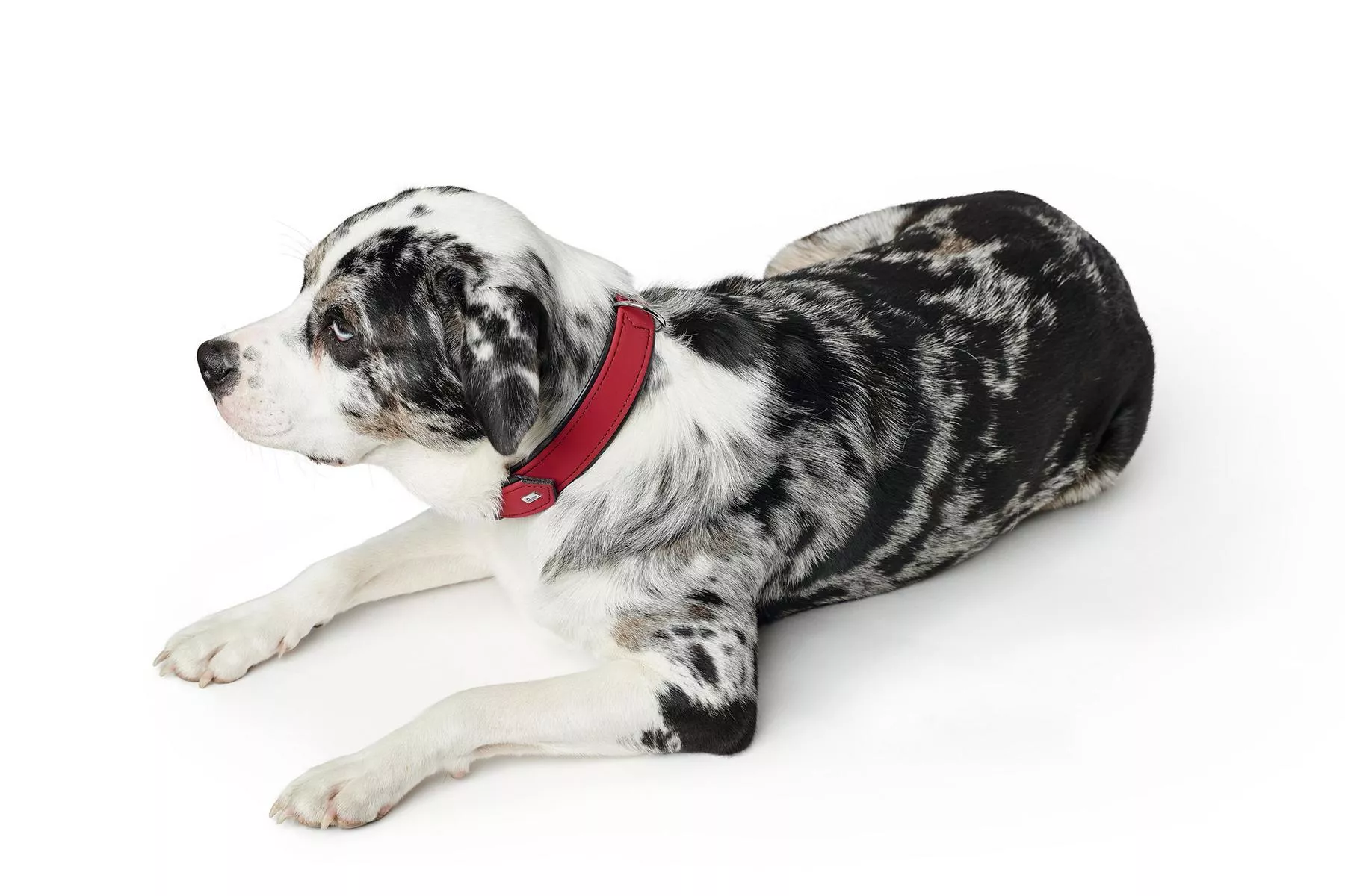 Halsband Softie 60 nickel