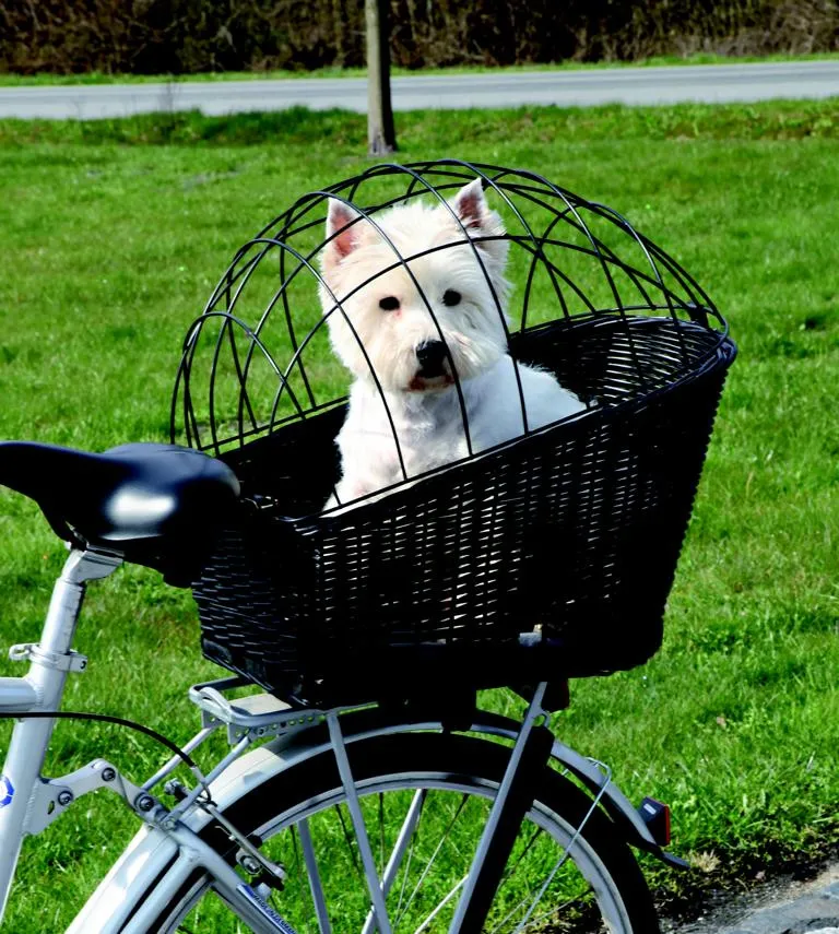 Fahrradkorb mit Gitter