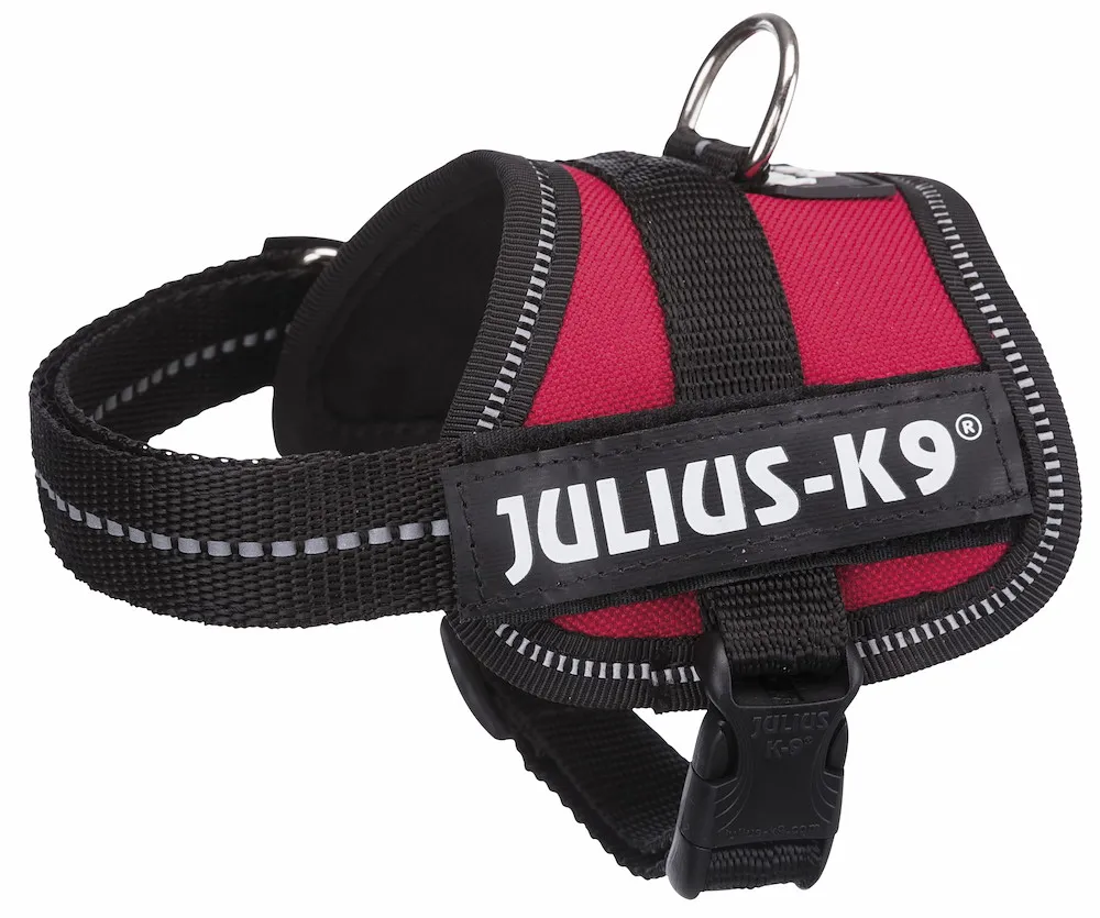 Julius-K9 Powergeschirr