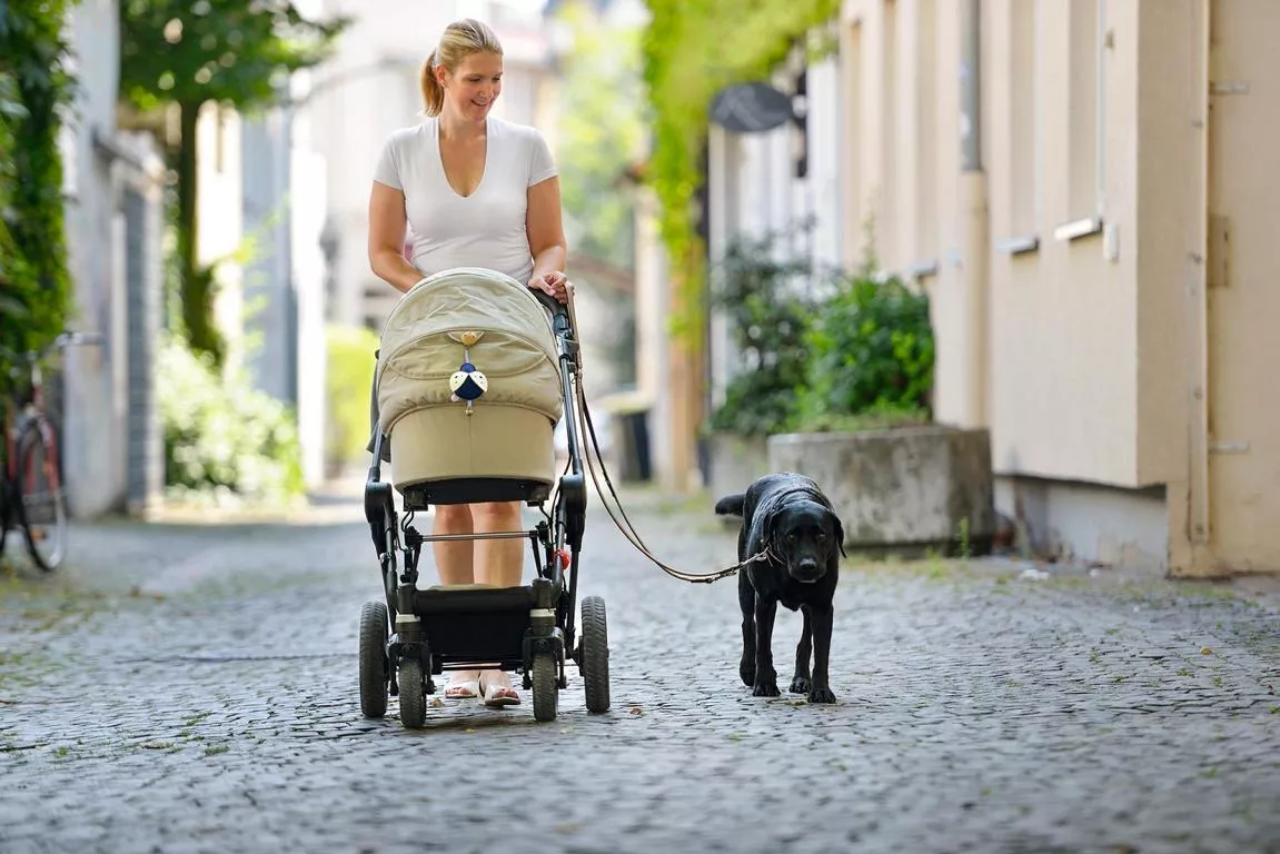 Verst. F&uuml;hrleine Basic 13/200