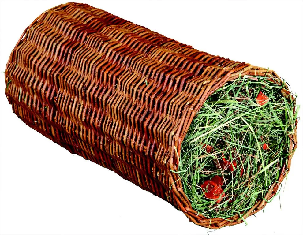 Weidentunnel mit Heu/Karotte,