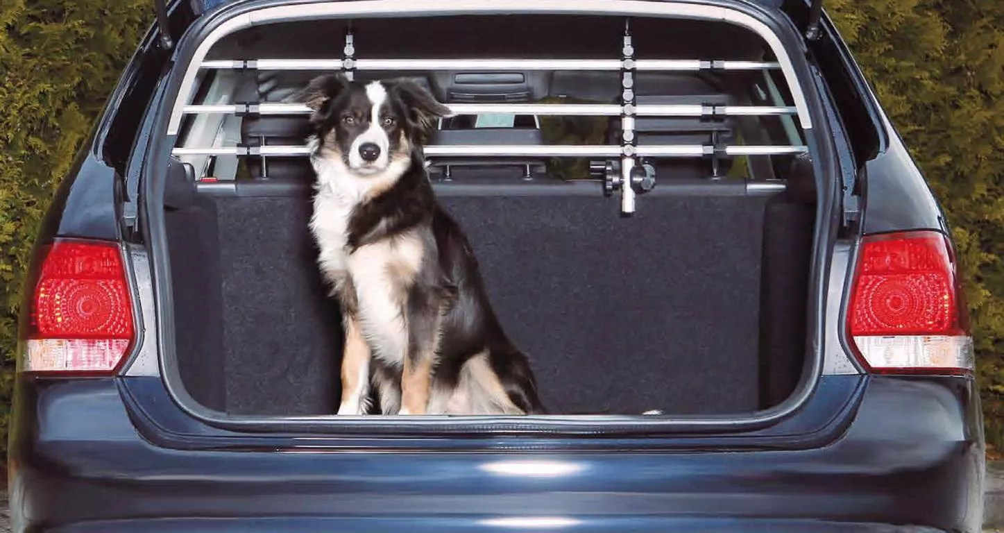 Auto-Schutzgitter silber/schw.