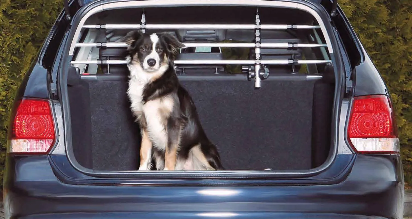 Auto-Schutzgitter silber/schw.