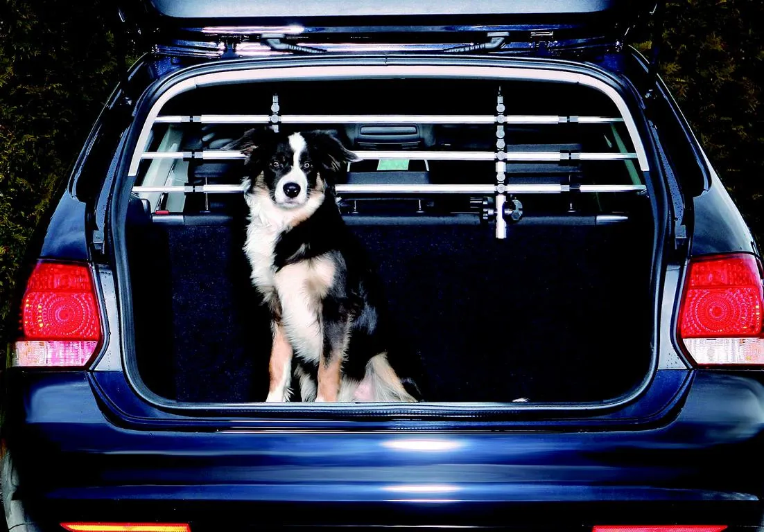 Auto-Schutzgitter silber/schw.