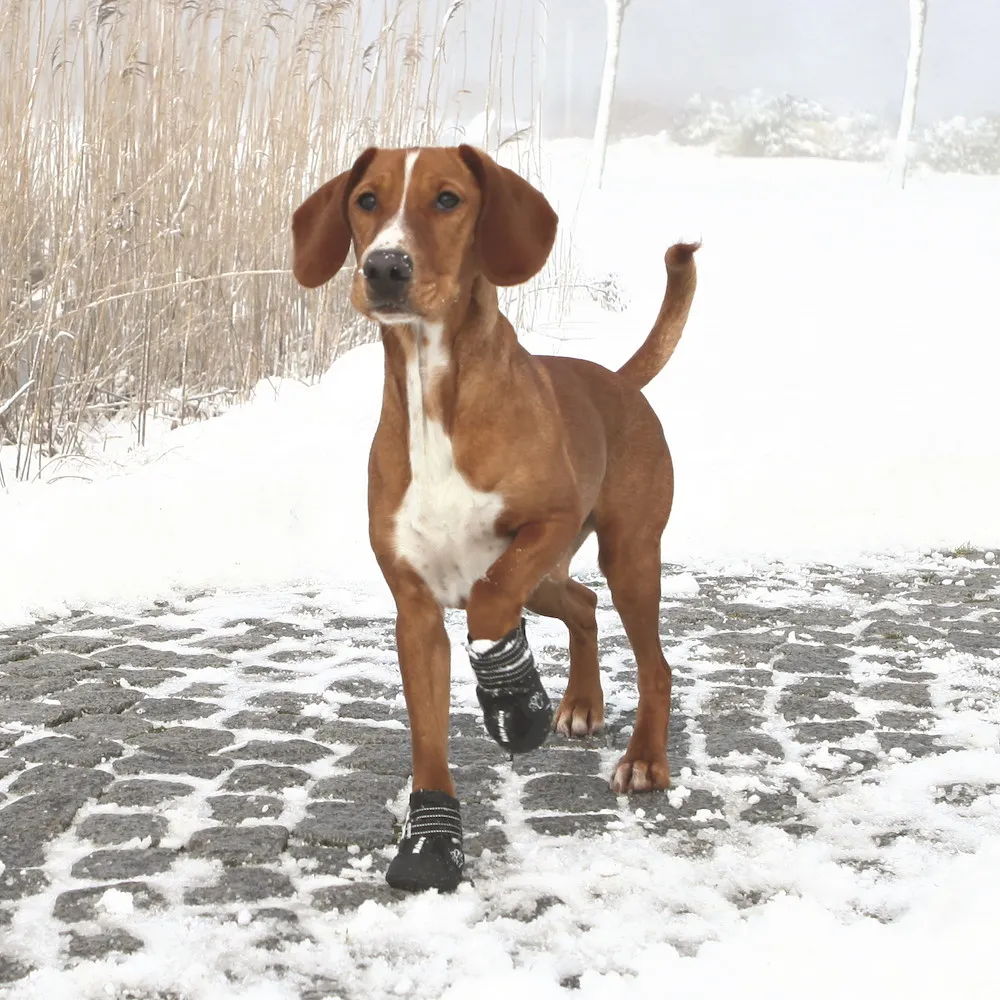 Pfotenschutz Walker Active