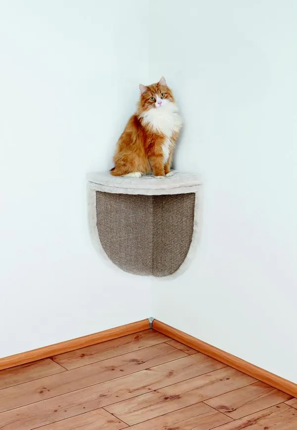 KRATZBRETT F&Uuml;R ZIMMERECKEN, 35