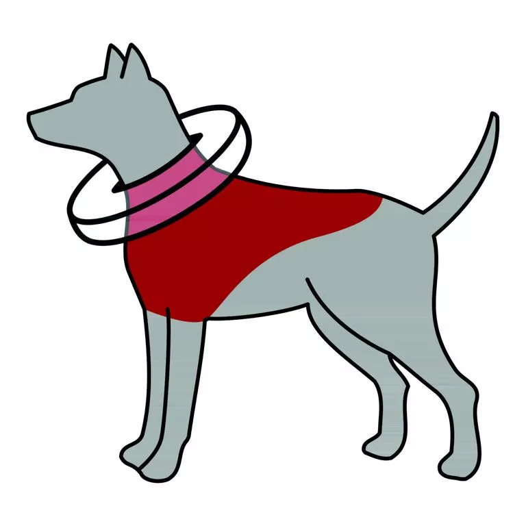 Schutzkragen, aufblasbar