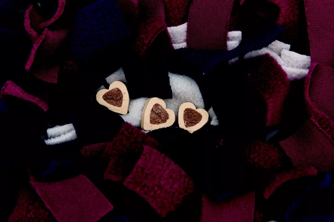 Activity Schn&uuml;ffelteppich