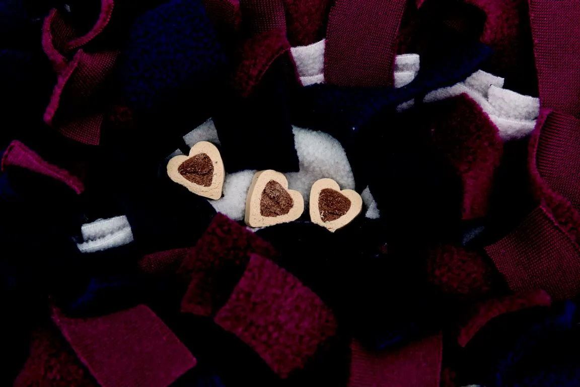 Activity Schn&uuml;ffelteppich