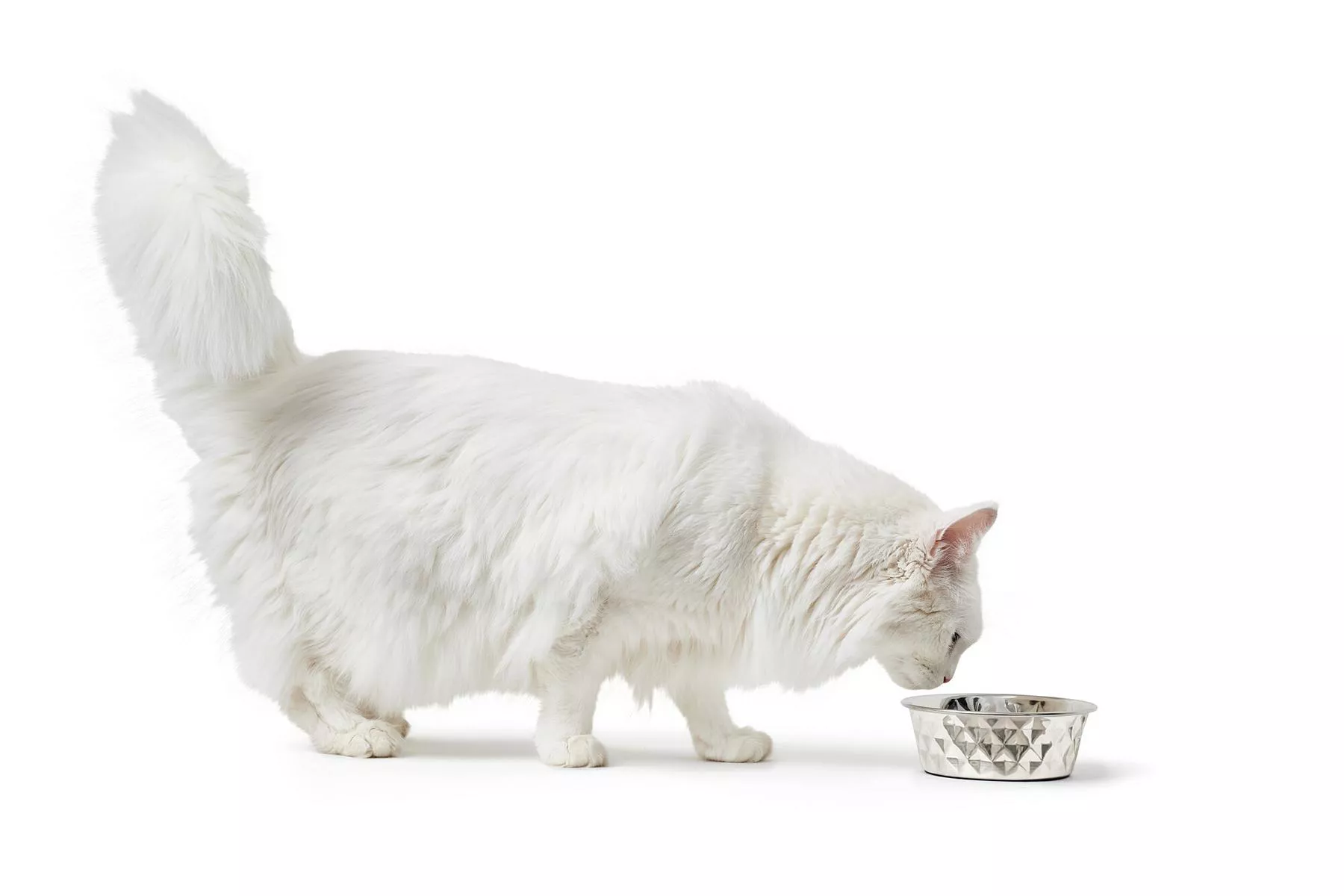 Edelstahlnapf Namy, 3800 ml