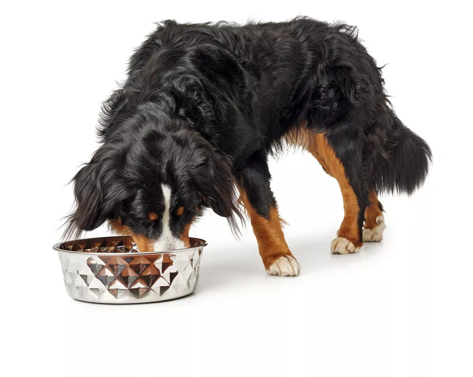 Edelstahlnapf Namy, 3800 ml