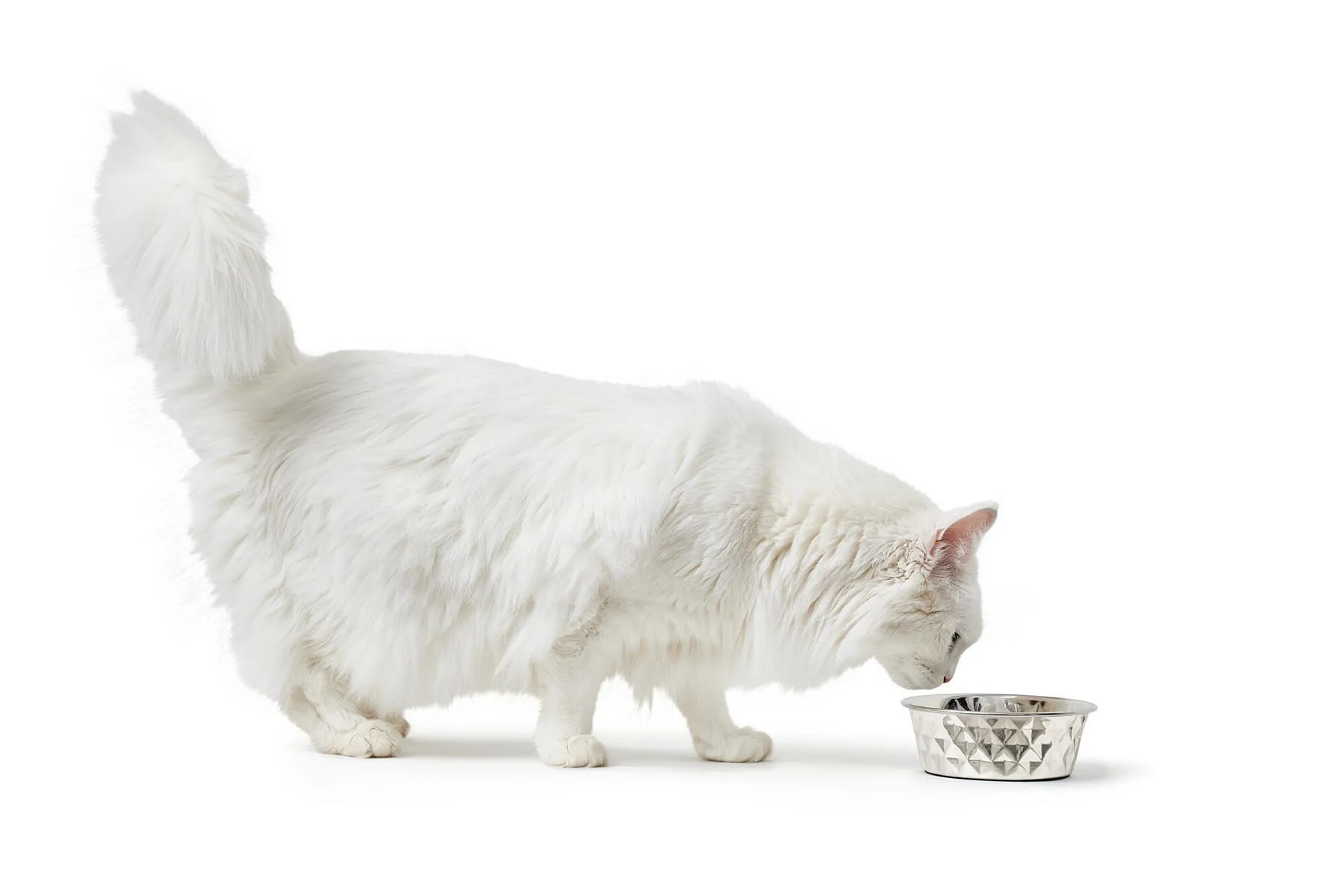 Edelstahlnapf Namy, 3800 ml