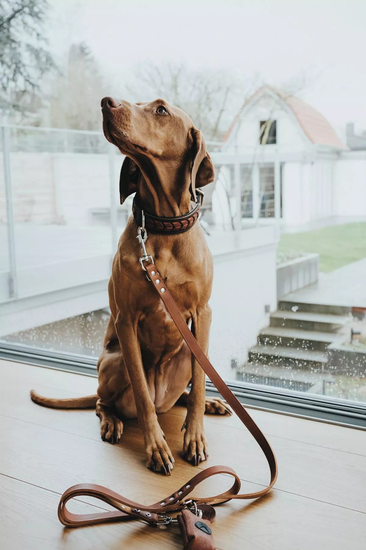 verst. F&uuml;hrleine, 13/200