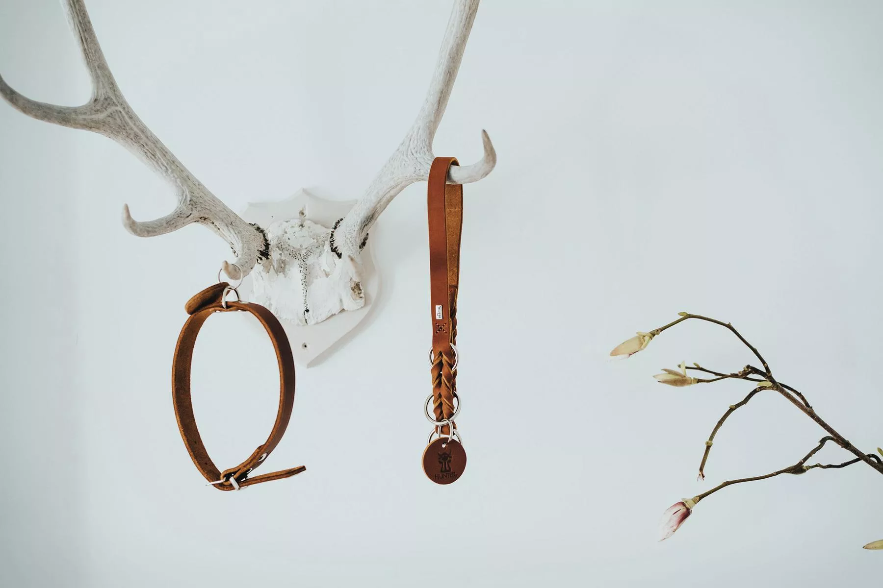 Halsband Aalborg, 52