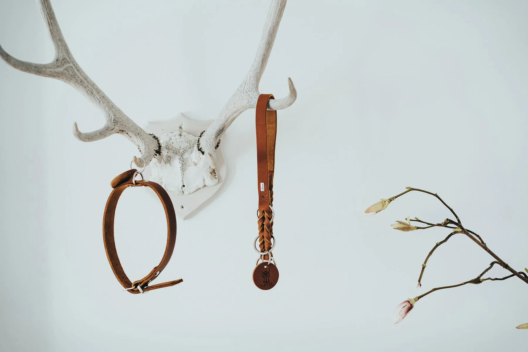 Halsband Aalborg, 60