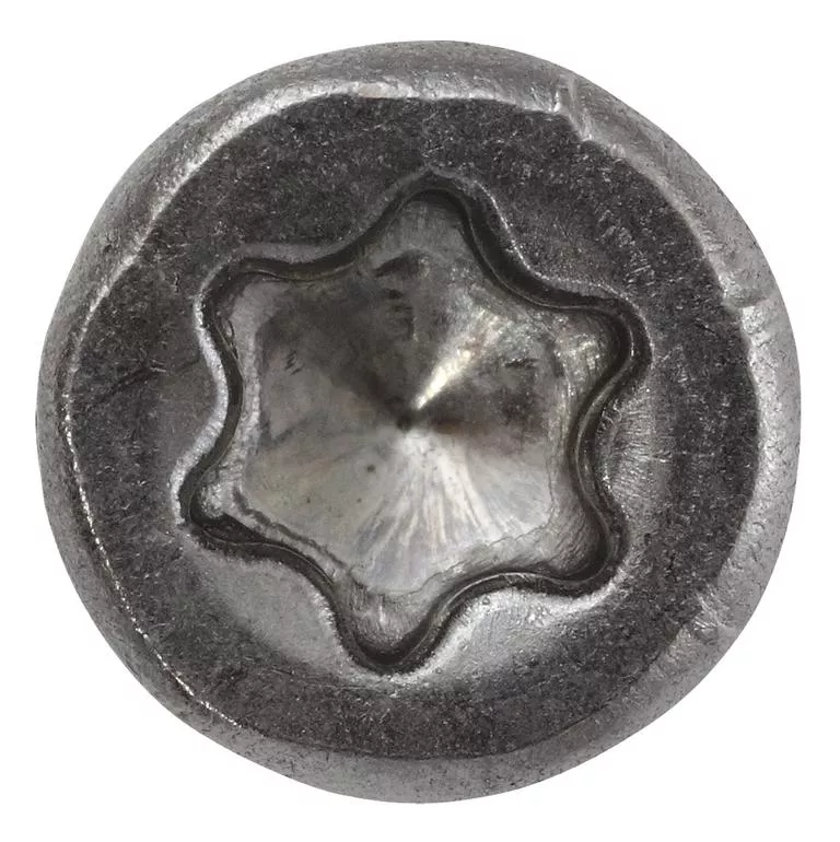 ZAUNBAUSCHRAUBE TG A2 MIT BIT