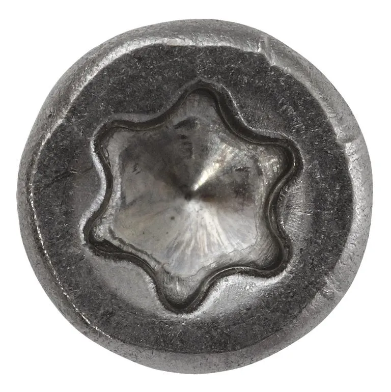 ZAUNBAUSCHRAUBE TG A2 MIT BIT