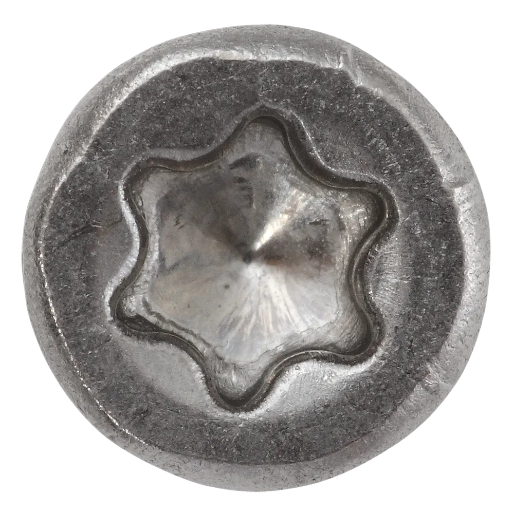 ZAUNBAUSCHRAUBE TG A2 MIT BIT