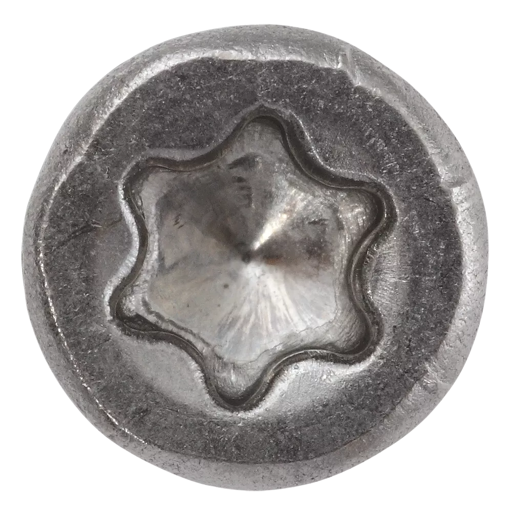 ZAUNBAUSCHRAUBE TG A2 MIT BIT