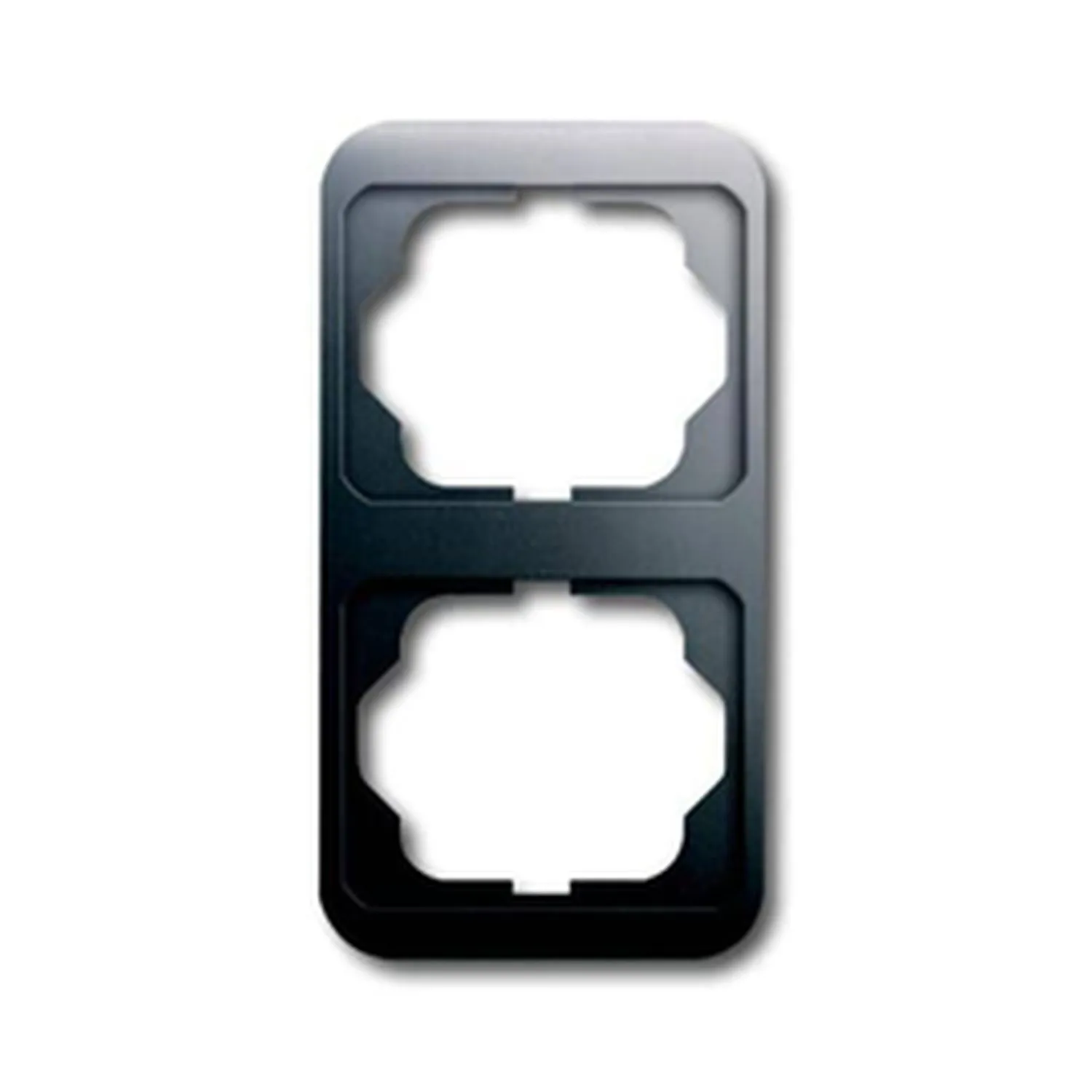 1732-20 BJ Rahmen 2-fach alpha