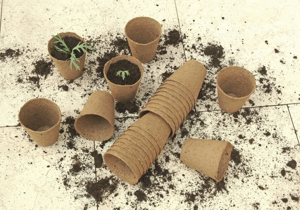 Anzuchtt&ouml;pfe Classic