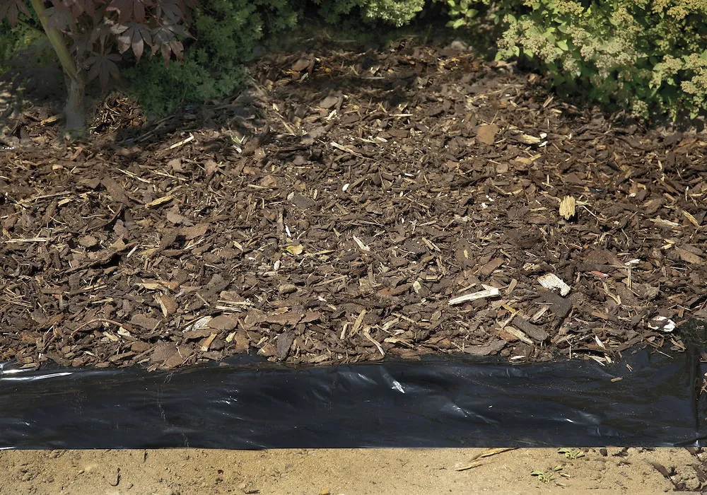 Gartenger&auml;te / Gartenbew&auml;sserung