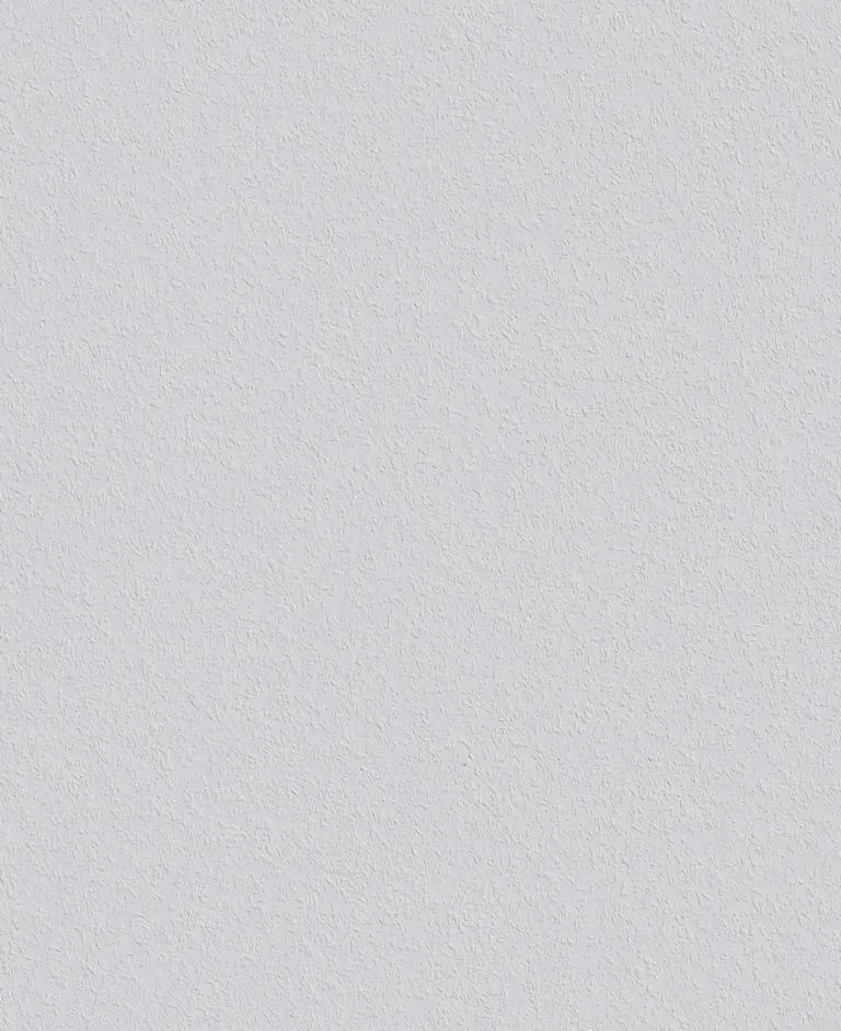 DIY HM Rauhfaser mittel