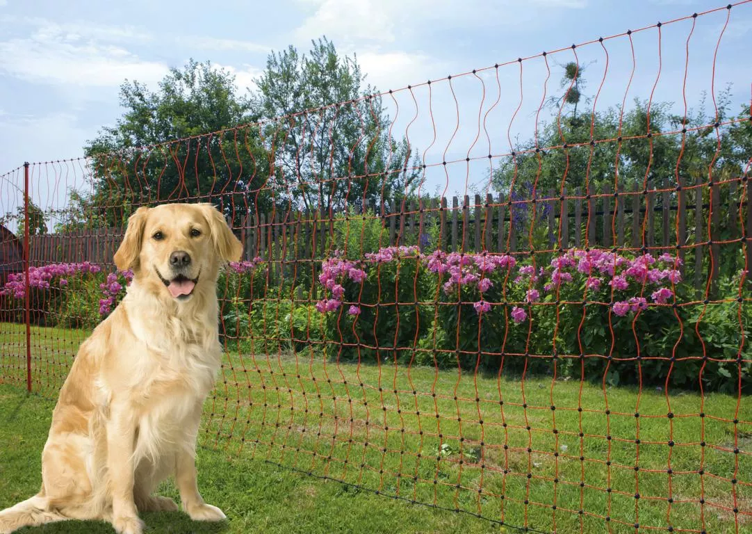 Gefl&uuml;gelnetz 50mtr., 106cm