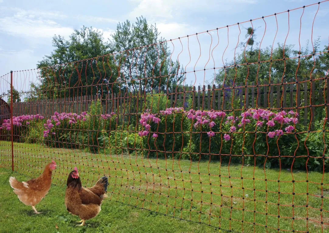 Gefl&uuml;gelnetz 50mtr., 106cm