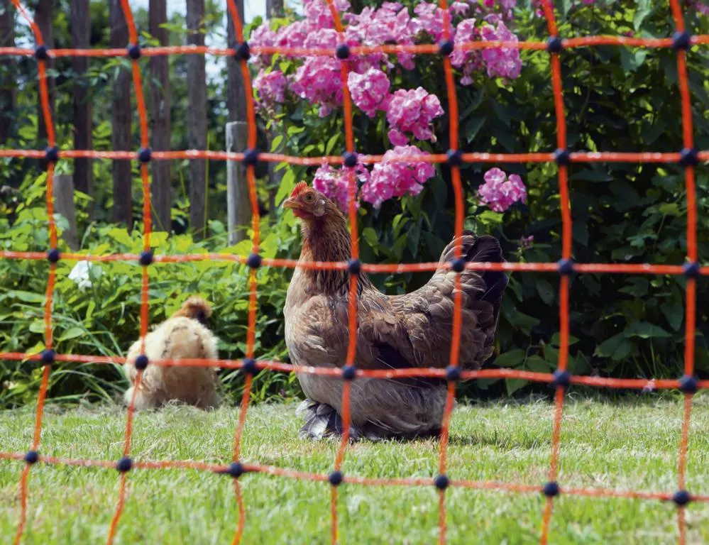 Gefl&uuml;gelnetz 50mtr., 106cm