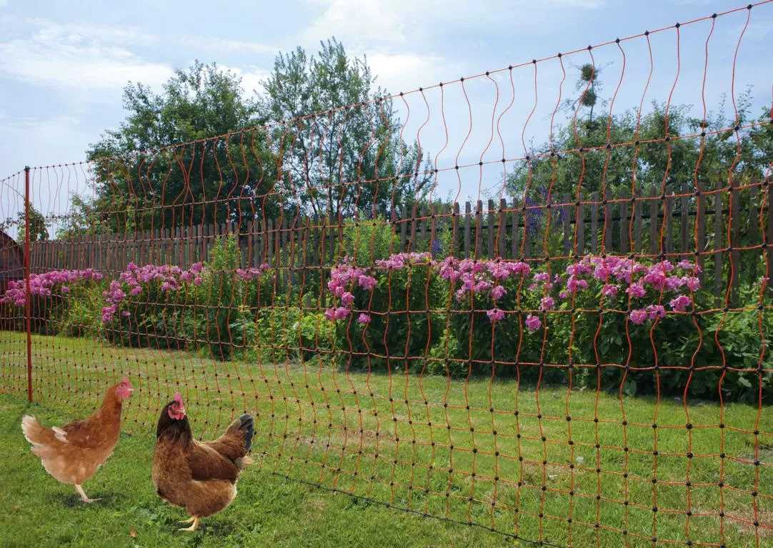 Gefl&uuml;gelnetz 50mtr., 106cm