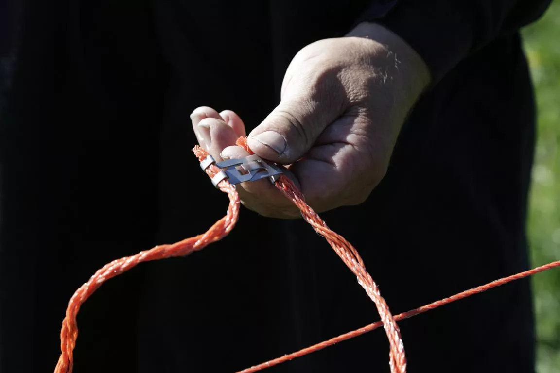 Gefl&uuml;gelnetz 50mtr., 106cm