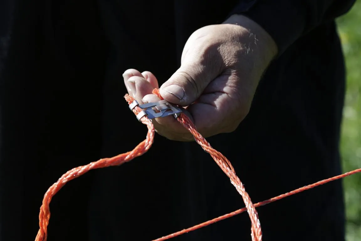 Gefl&uuml;gelnetz 50mtr., 106cm