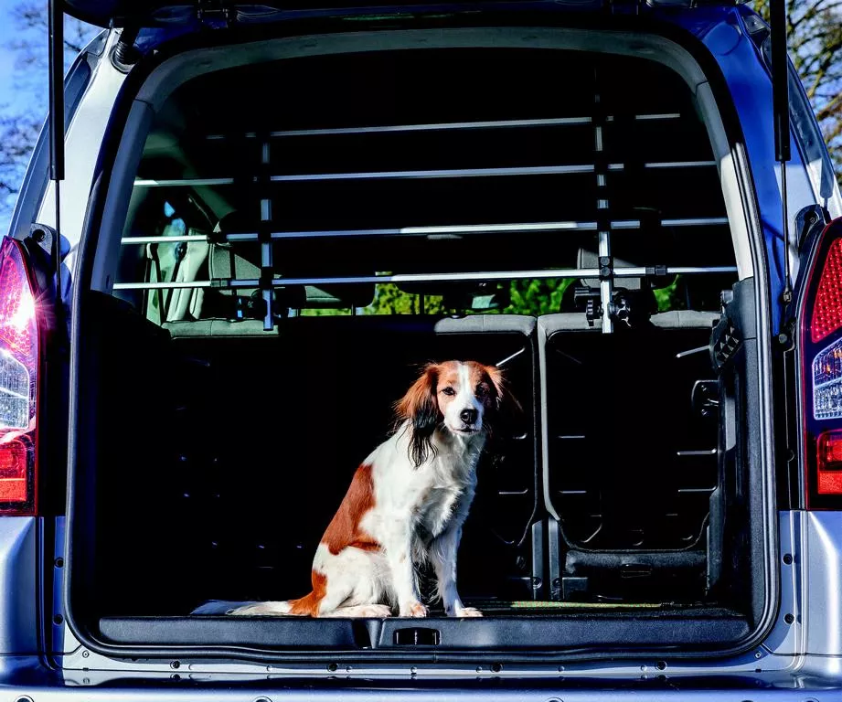 'Auto-Gitter Breite 105 172 cm