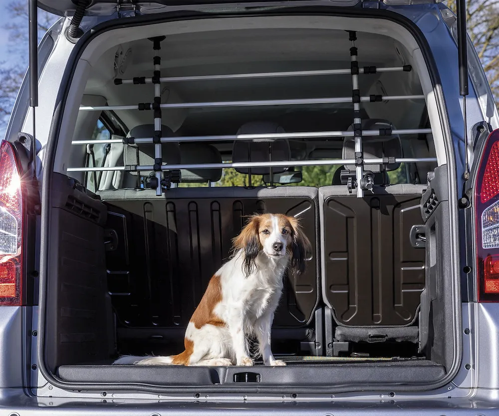 'Auto-Gitter Breite 105 172 cm