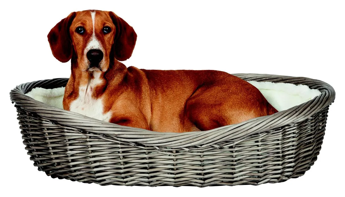 Korb mit Bezug & Kissen