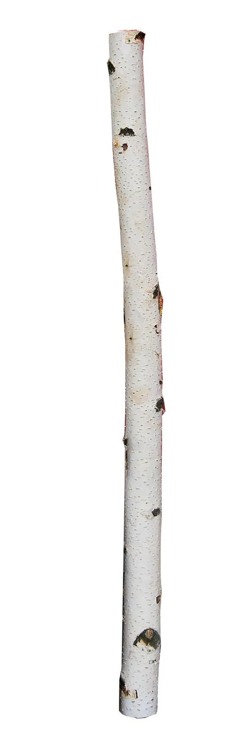 Birkenstamm 90 cm