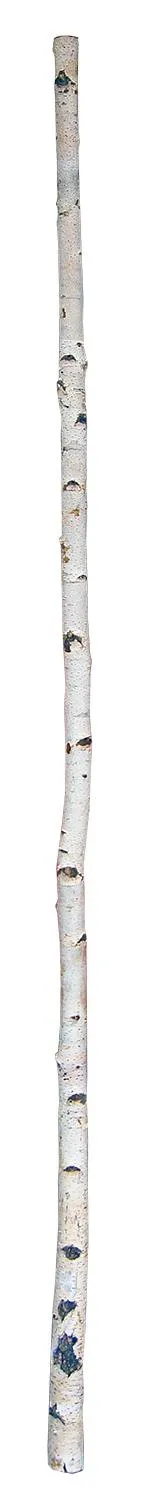 Birkenstamm 180 cm