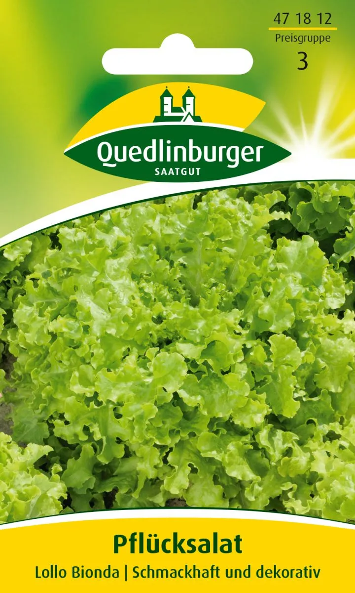 Pfl&uuml;cksalat Lollo bionda