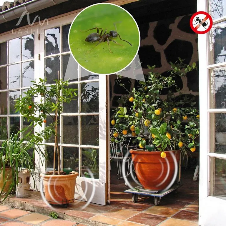 Gardigo&reg; Solar Ameisen-Abwehr