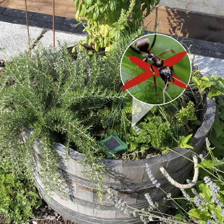 Gardigo&reg; Solar Ameisen-Abwehr