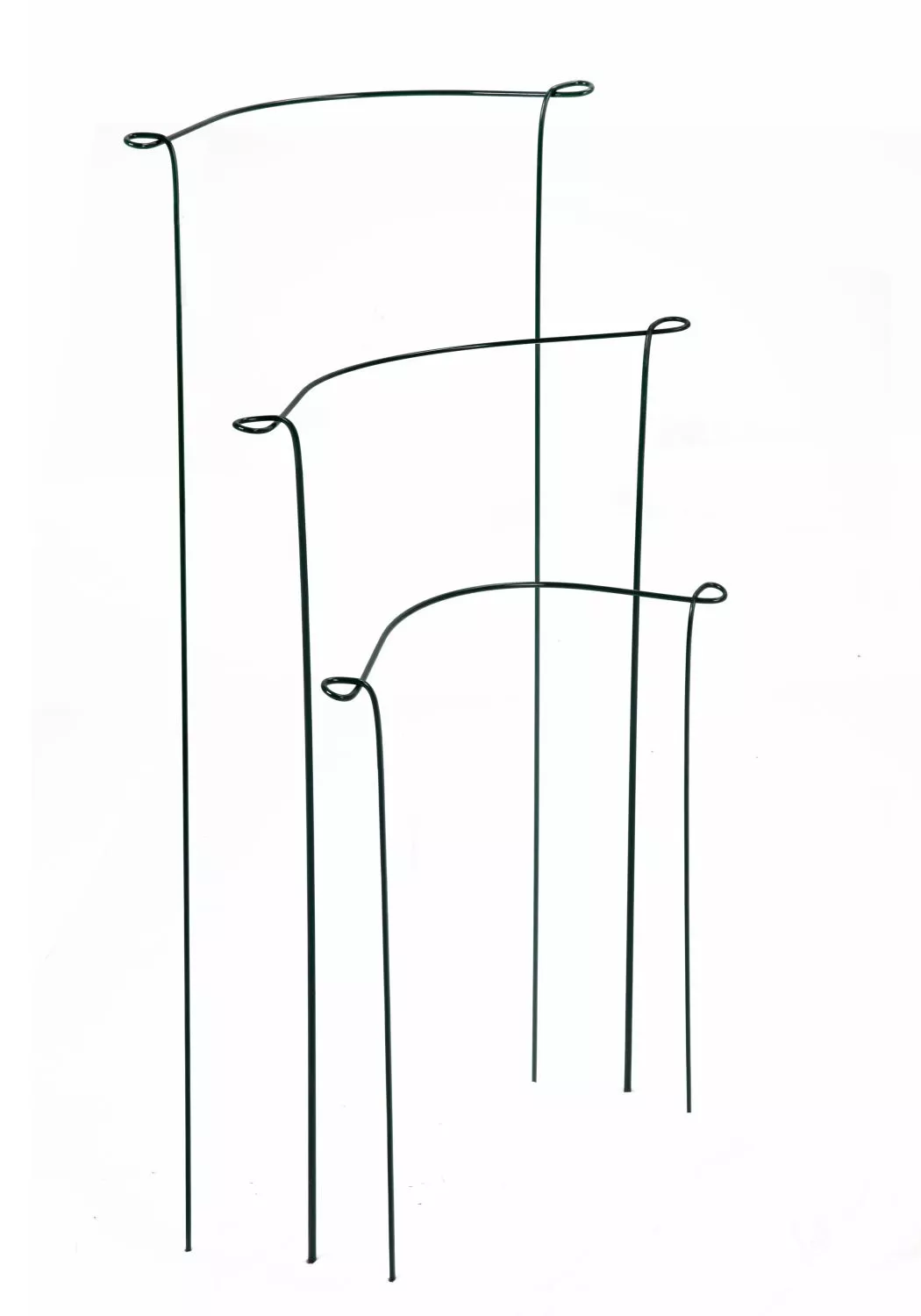 Staudenst&uuml;tzen H&ouml;he 70 cm