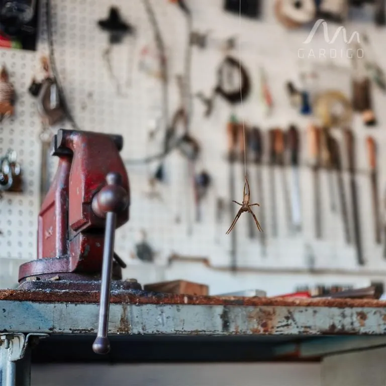 Gardigo&reg; Spinnen-Feind