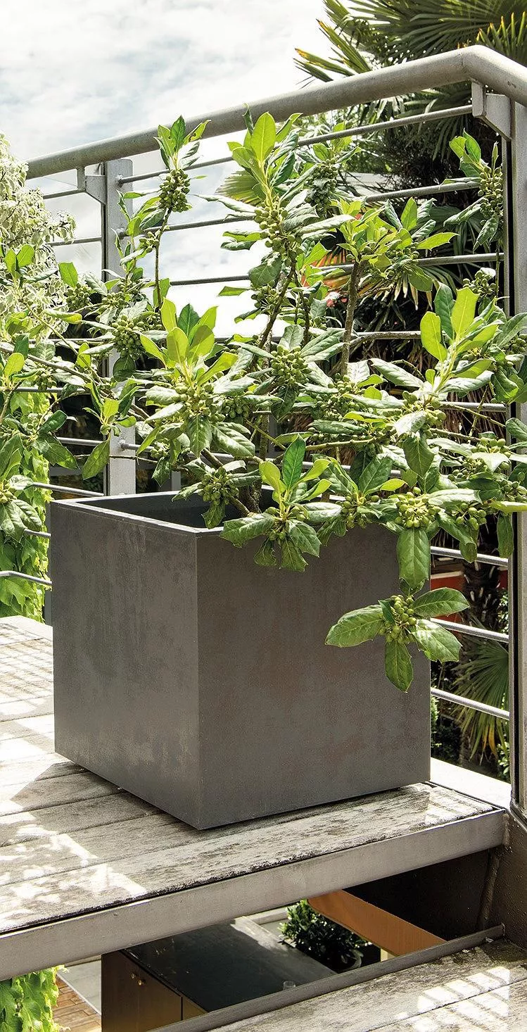 Pflanzkübel Millennium 25 cm - Pflanzgefäße, Balkonkästen  