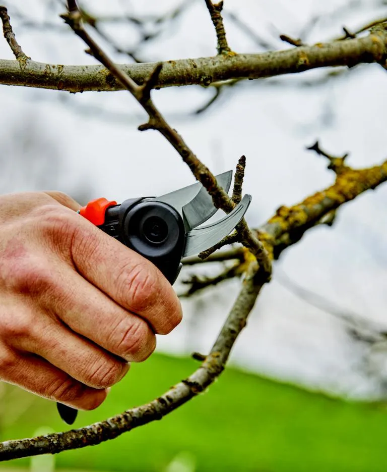 Gartenschere ExpertCut