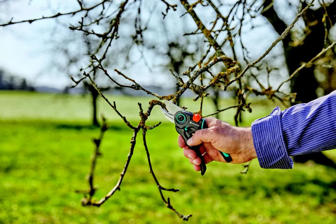 Gartenschere ExpertCut