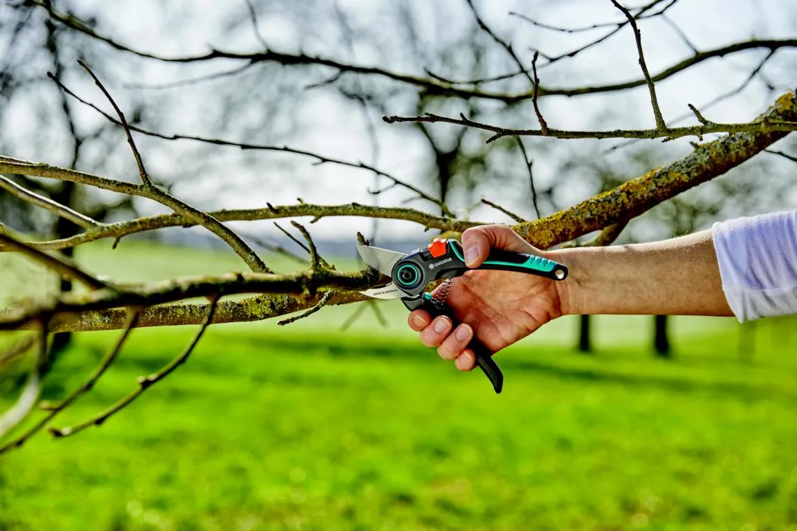 Gartenschere ExpertCut